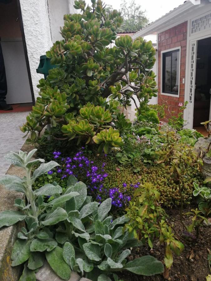 Casatodosantos Bed & Breakfast Cuenca Exterior photo