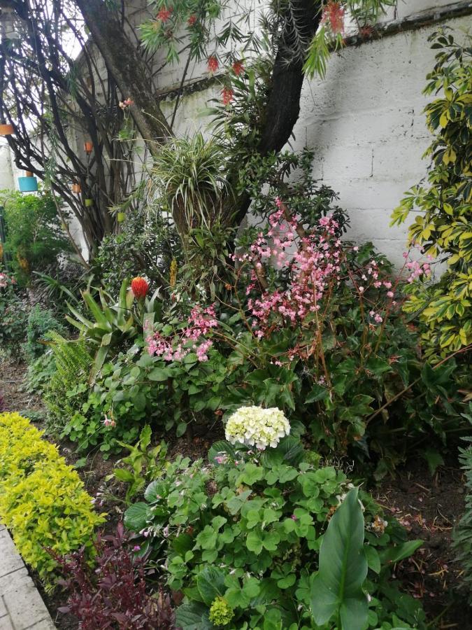 Casatodosantos Bed & Breakfast Cuenca Exterior photo